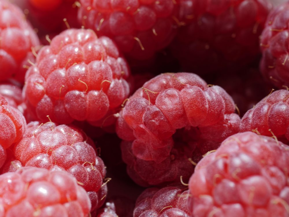 fruit and vegetables